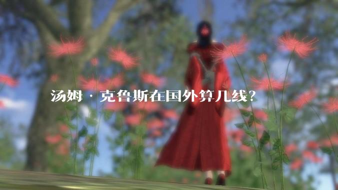 汤姆·克鲁斯在国外算几线？