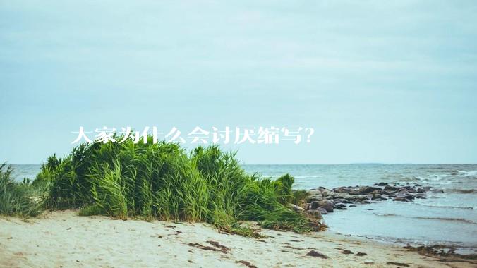 大家为什么会讨厌缩写？